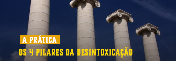 4 pilares da desintoxicação