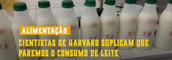 Cientistas de Harvard Suplicam que paremos o consumo do leite