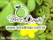 Doce Limao