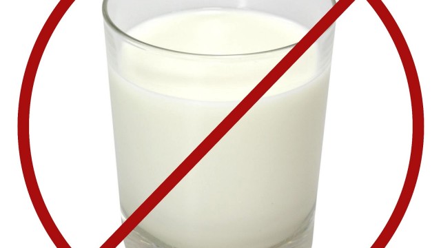 Os perigos do leite, queijos e laticínios