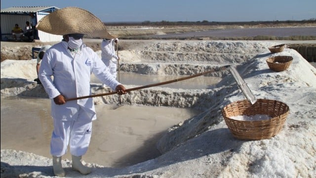 Colheita de sal natural