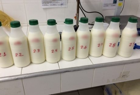 Cientistas de Harvard suplicam que paremos consumo do leite