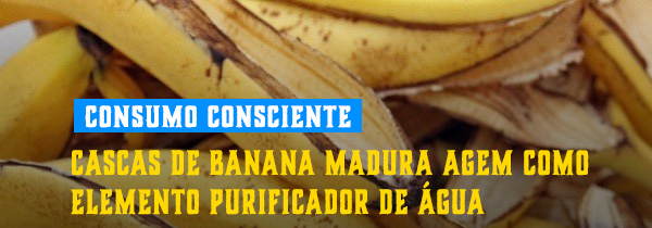 Bananas como elemento purificador de água