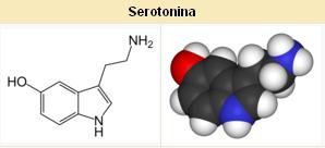http://www.docelimao.com.br/images/serotonina.JPG