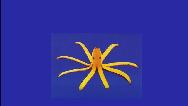 Vídeo - Arte Culinária (pps)