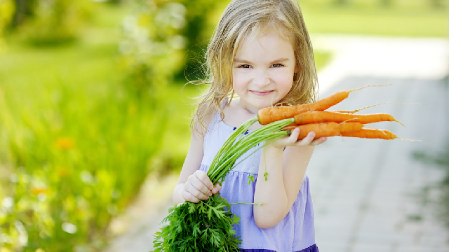 Criando pequenos Vegetarianos