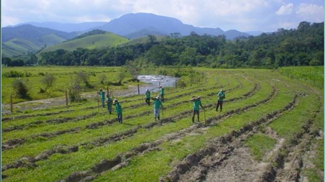 Bora Plantar & MUDA SP