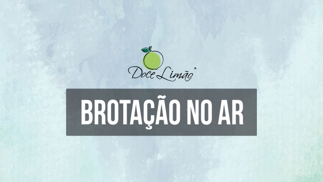 Vídeo 8: Brotação no AR
