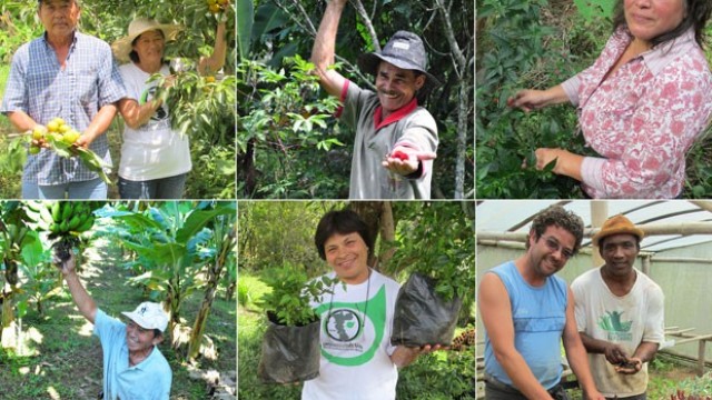 Controle alternativo de pragas e doenças das plantas