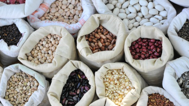 Sementes: onde comprar?