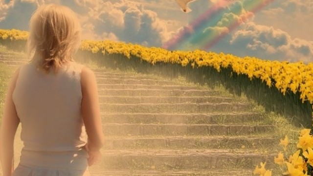 Passaporte para o céu 