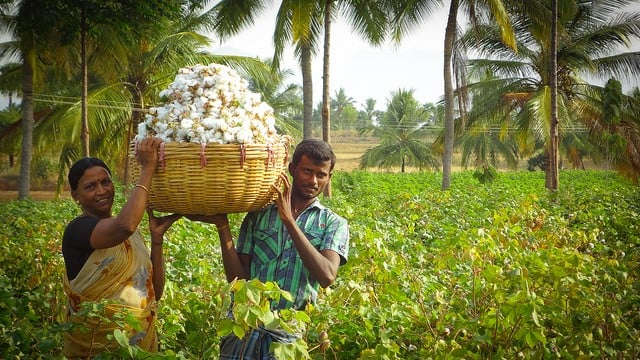 Férias orgânicas, orgânicos, delivery, restaurantes vegetarianos