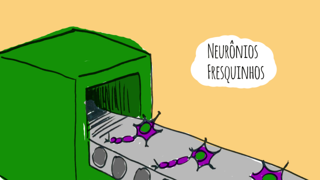 Podemos, como adultos, gerar novos neurônios?