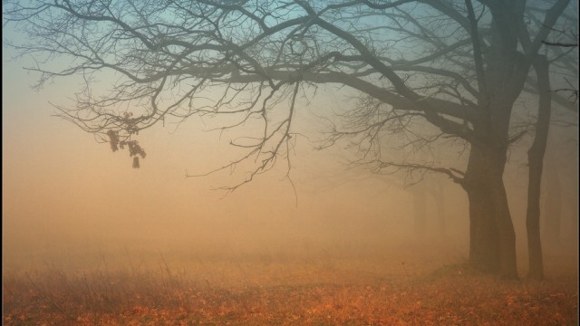 Outono - inverno: é tempo de cuidar das nossas PELES