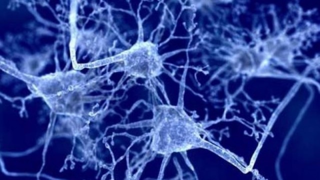 Informações médicas sobre a prevenção e tratamento de doenças neurodegenerativas