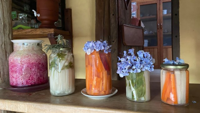 Como e por que fermentar alimentos