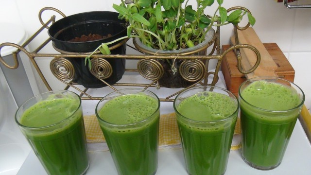 Depoimentos sobre Sucos Verdes