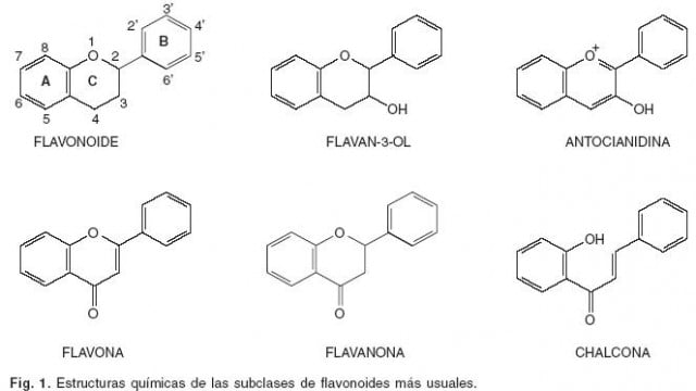 Frutas cítricas podem prevenir doenças metabólicas por ação antioxidante