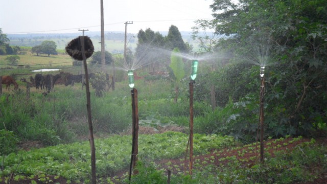 Horta Orgânica Familiar com Homeopatia