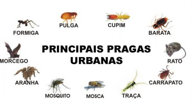 Controle de Pragas Domésticas