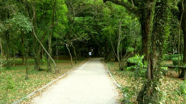 Desvendando o Parque Ibirapuera