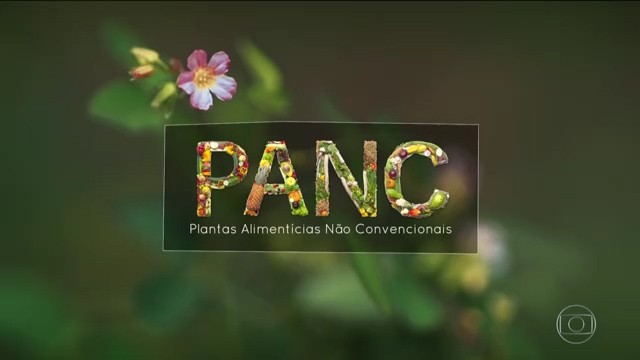 Fantástico e as PANC - As plantas que você pode comer e não sabia