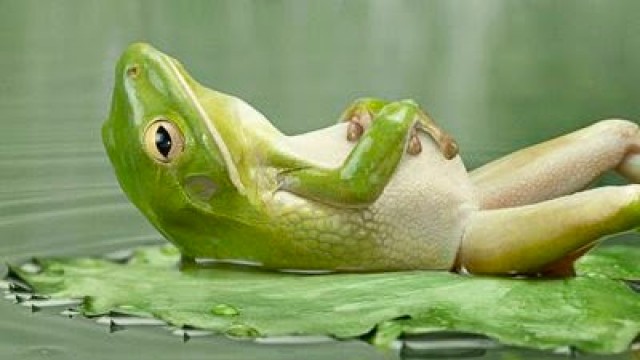 Vídeo - Reação em cadeia