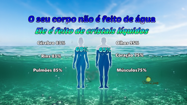 Água é informação, é VIDA