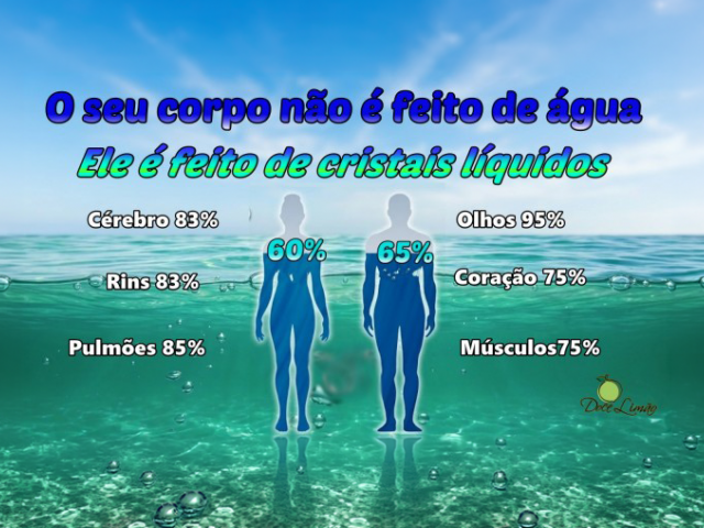Água é informação, é VIDA