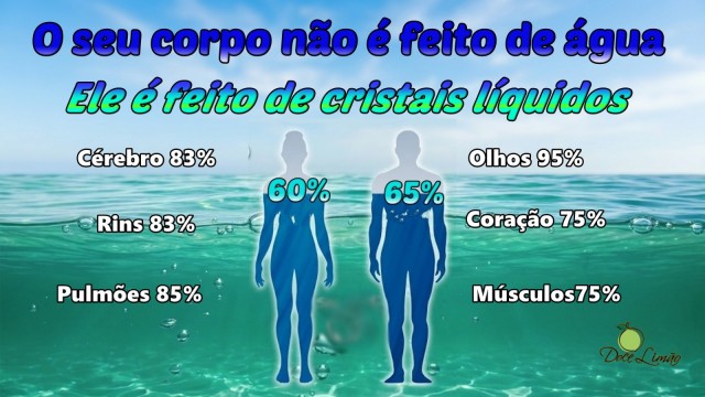 Água é informação, é VIDA