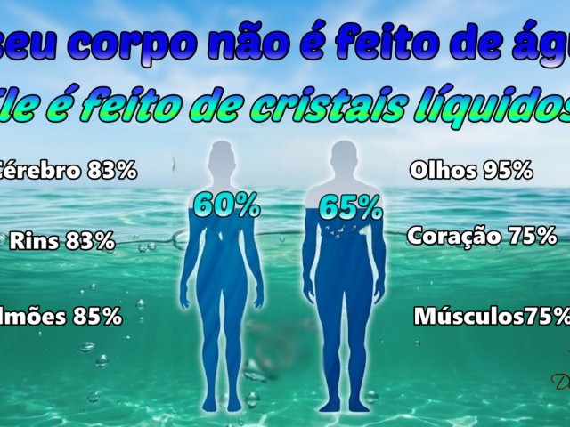 Água é informação, é VIDA