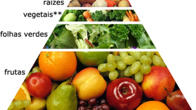 Audio: Palestra Alimentação Desintoxicante & Vitalidade dos Alimentos