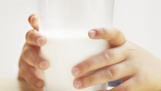 Tomar leite é saudável? Parte 3