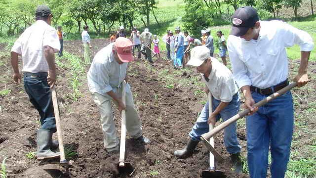 Crianças e nosso trabalho