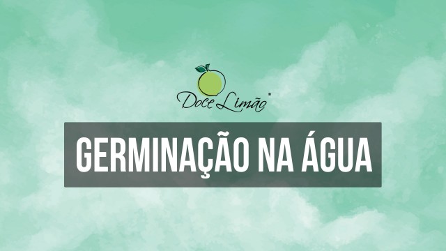 Vídeo 7 - Germinação na Água