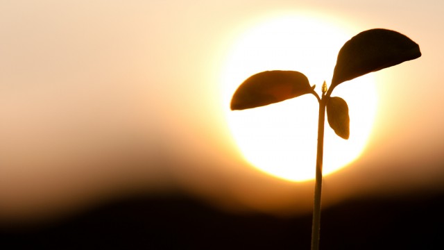 A influência da alimentação nos aspectos espirituais do ser humano