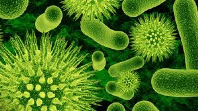 Caderno dos Microrganismos Eficientes (ME)