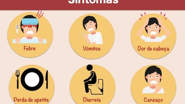 Mulheres na Ciência: Infecção intestinal pode predispor a doenças metabólicas