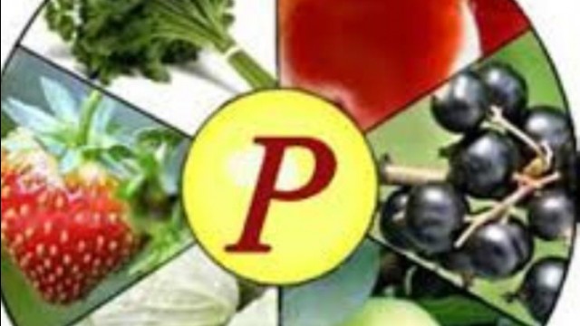 Frutas e vitamina P