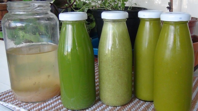 Considerações sobre os Leites VIVOS da Terra