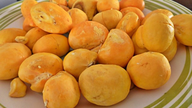 Frutas do Cerrado