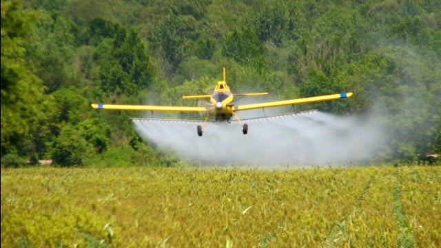 TV de BEM com a Natureza 8 - Agrotóxicos