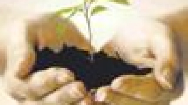 Dicas vida saudável II - IONE - TV Gazeta