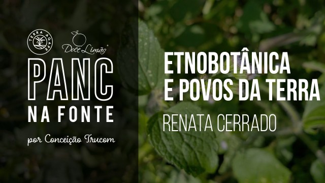 Etnobotânica e povos da terra - PANC na Fonte
