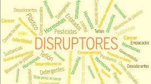 PDF - Guia sobre os Disruptores Endócrinos (DEs)