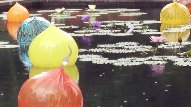 Depoimento - Controle da energia vital