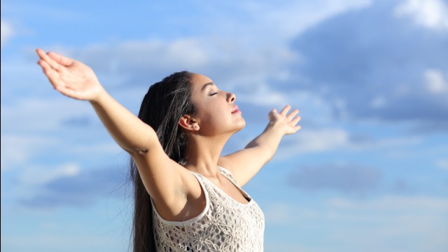 O que representam os pulmões?