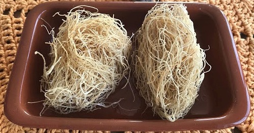 Alga marinha do nordeste