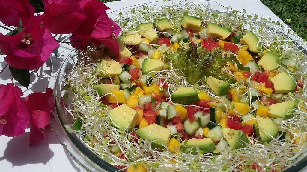 Salada de Abacate