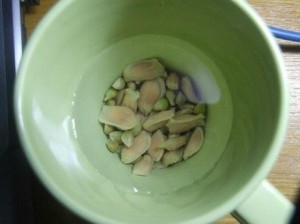 Hidratando sementes de limão